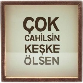 Resim Çok Cahilsin Keşke Ölsen Ahşap ve Cam Tasarımlı Kumbara 