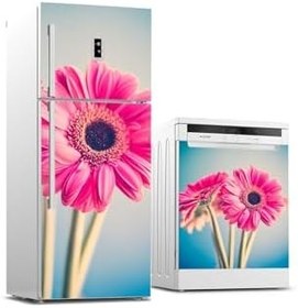 Resim Buzdolabı Ve Bulaşık Makinesi Takım Sticker 0174 