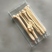 Resim 5'li Kemik Şeklinde Tükenmez Kalemler, Ergonomik Oval Tasarım, Orta Nokta, Geri Çekilebilir Plastik Kalemler, Hemşireler, Doktorlar, Ofis, Tıbbi Defterler İçin İdeal 