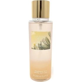 Resim Victoria's Secret Oasis Blooms Body Mist 250 ml Vücut Spreyi 