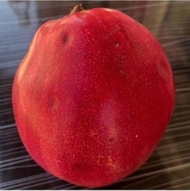 Resim Tüplü Aşılı Tam Bodur Özel Üretim Kırmızı Ayva Fidanı 