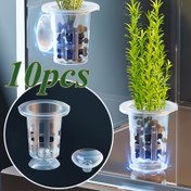 Resim 10 adet Şeffaf Plastik Akvaryum Bitki Dikme Bardakları ile Emme Kupası Tabanı, Su Bitkisi Büyüme Kapları, Balık Tankı Dekorasyonu için Uygun, Akvaryum Bitkileri ve Dekorasyonlar, Dekoratif Akvaryum Bardakları, Akvaryum Aksesuarları 