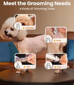 Resim 4'ü 1 Arada Sessiz Tıraş Makinesi, Köpek ve Kedi Tüyleri İçin, USB Şarj 