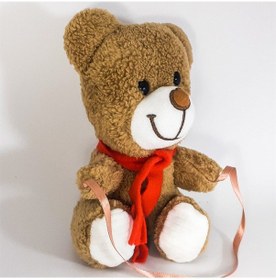 Resim Peluş Ayıcık 