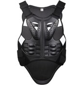 Resim Lyon Motosiklet Koruması, Omurga Koruma Kombinasyonuspor Koruyucu Ekipman, Zırh Yarışyele L 