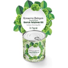 Resim Tkçyt Konserve Bahçem Evde Konservede Iri Yapraklı Kıvırcık Yetiştirme Kiti 