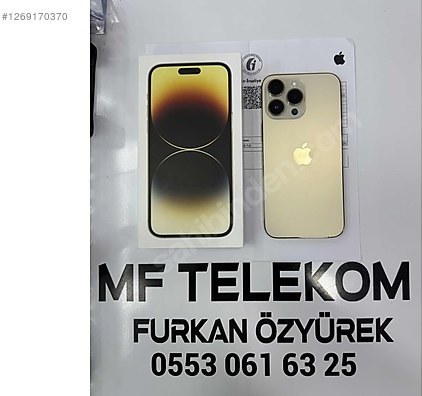 Altın