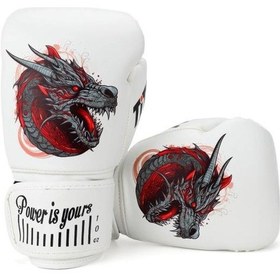 Resim Titan Sport Ejderha Desenli Set Fgr Model-10 Boks Eldiveni Çok Renkli 