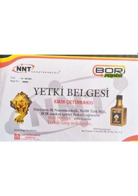 Resim Bor Power Ms 250 Premium Edition Yağ Katkısı 200Ml 