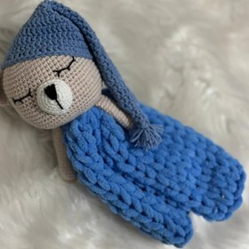 Resim Uyku Arkadaşı Ayıcık - Çok renkli 