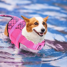 Resim Mermaid Shark Swimsuit Köpek Yağlığı - Pembe Altın Detaylarla, Naylon ve PVC, Ayarlanabilir Askı, Makinede Yıkanabilir, Yaz Yüzme için Mükemmel, Evcil Hayvan Aksesuarları|Oyuncağı Köpek Tasarımı|Ayarlanabilir Askılı Ceket 