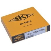 Resim SKT 4tm-108 Retarder Tamir Takımı 