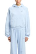 Resim ICON ELEMENTS FT HOODIE Mavi Kadın Sweatshirt Reebok