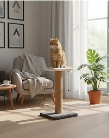 Resim Reyo Pet Tekli Step Kedi Tırmalama Tahtası Gri 