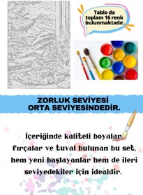 Resim Su'lepas Sayılarla Boyama Çerçeveli Hobi Seti Numaralı Tuval Fırça Boya Dahil Kasnaklı MANZARA PASTA 40X50 Cm 