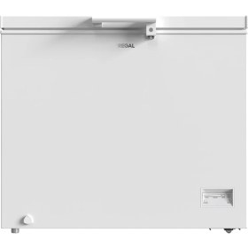 Resim Regal Sd Dual 3021 Sandık Tipi Derin Dondurucu 