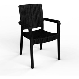Resim Hilton 2'li Plastik Sandalye Antrasit 