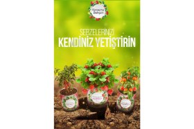Resim Kaia Life Konserve Bahçem Evde Konservede Sultani Bamya Yetiştirme Kiti 