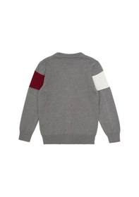 Resim U.S. Polo Assn. U.s. Polo Assn. Erkek Çocuk Gri Melanj Hırka Triko 50317115-vr086 