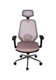Resim Ofisbazaar Dali Fileli Yönetici Koltuğu Ergonomik Başlıklı Ofis Koltuğu Gri Gri 