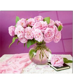 Resim Olinpa Cam Ocak Arkası Koruyucu | Fanus ve Çiçek 