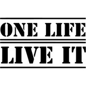 Resim One Life Live It Duvar Dekor Sticker 40 x 24 cm 