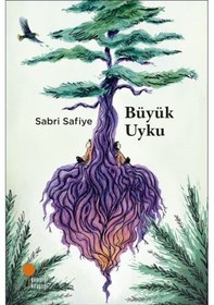 Resim Büyük Uyku / Sabri Safiye 