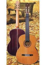 Resim Valencia Custom Cgltd5 Klasik Gitar 