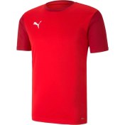 Resim Puma Teamgoal 23 Sideline Tee Erkek Futbol Antrenman Tişörtü 65648401 Kırmızı 