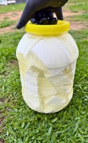 Resim Katkısız Geleneksel Yayla Köy Peyniri - 3 Kg ( Net 2 Kg ) 