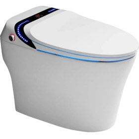 Resim Paluci Akıllı Zemin Klozet 