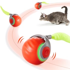 Resim Akıllı kedi oyuncağı, çok fonksiyonlu kedi oyuncak topu, çeşitli kedi oyuncakları ile birlikte gelir, değiştirilebilir kuyruk, şarj edilebilir, rastgele yuvarlanma ve sallanma 