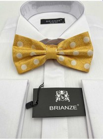 Resim Brianze Beyaz Puantiyeli Altın Sarısı Papyon Altın Sarısı 