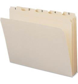 Resim Esmo Home Indiziert Dosya Düzenleyici Set, Her Gün (1 - 31), Klasörlere, Güçlendirilmiş 1/5-Cut Tab, Size, Manila, 31 Pro Set (11769) 