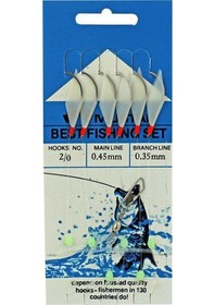 Resim Mustad Best Fishing Set 0,45 0,35 Mm No:2/0 Çapari 