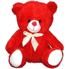 Resim Pl78816Y Halley Peluş Ayı 30 CM 