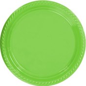 Resim Tabak Plastik 22 Cm (25 Adet) Yeşil 