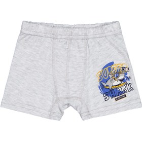 Resim Domi Kids Shark 2-8 Yaş Erkek Çocuk 2'li Boxer - Standart / 4-5 Yaş 