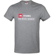 Resim The North Face M S/s Gps Tee Istanbul Rec Nf0a7zc2dyy1 