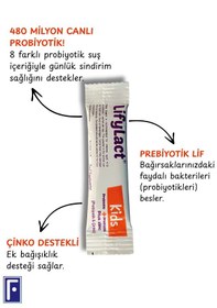 Resim Lifylact Kids Probiyotik+Zinc Takviye Edici Gıda 2 x 10 Şase 