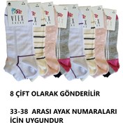 Resim vtex socks 8'li Dikişsiz Garson Boy Çocuk Patik Çorap 