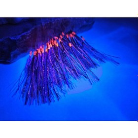 Resim Aldos Çapari Köstek 50'li Istavrit Çapari Kösteği 9 No Brkc01 