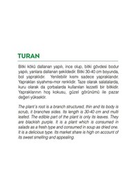 Resim AGRodal Tarım Ata Tohumu Yerli Doğal Reyhan Turan 1000 Adet Tohum 