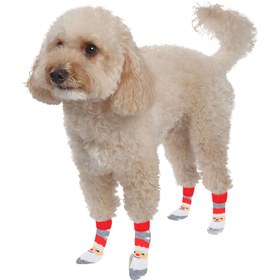 Resim PAWDDLE Desenli Köpek Çorabı (4'lü Set; Standart Beden Küçük Irk) - Noelbaba Kayakta Kırmızı Yaka 