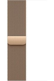 Resim STOREMAX Band - Loop - 40 mm - Altın Rengi - Standart 1063348 