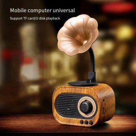 Resim Filli Kutum Nostaljik Mini Radyo Gramofon Radyo Retro Style Bluetooth Hoparlör B5 Ahşap Görünümlü Tasarım 