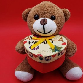 Resim Hediyelik Kahverengi Kutulu Ayıcık 