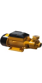 Resim Attlas QB80 Santrifüj Pompa 1 Hp 