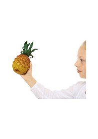 Resim Nino 595 Ananas Görünümlü Shaker 