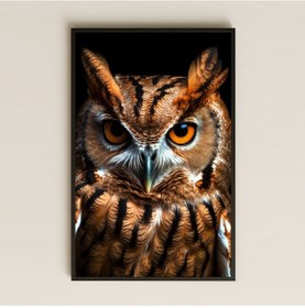 Resim Siyah Fonlu Detaylı Baykuş Portresi Dijital Sanat Pleksi Tablo 